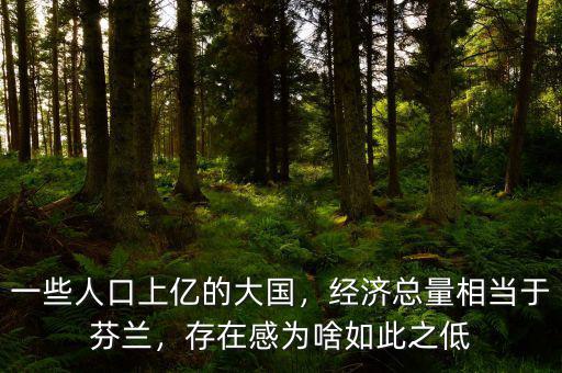 一些人口上億的大國(guó)，經(jīng)濟(jì)總量相當(dāng)于芬蘭，存在感為啥如此之低