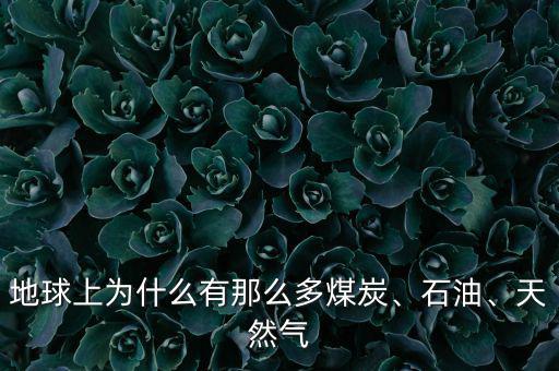 地球上為什么有那么多煤炭、石油、天然氣