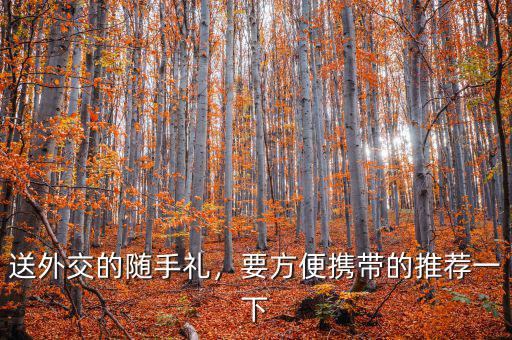 送外交的隨手禮，要方便攜帶的推薦一下