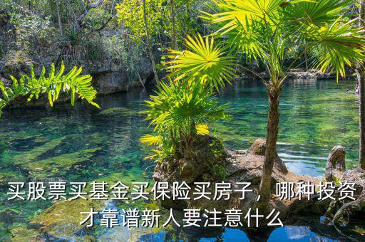 買(mǎi)股票買(mǎi)基金買(mǎi)保險(xiǎn)買(mǎi)房子，哪種投資才靠譜新人要注意什么