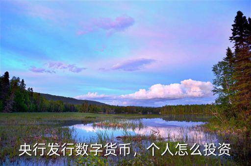央行發(fā)行數(shù)字貨幣，個(gè)人怎么投資