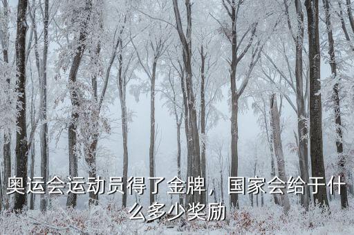 奧運(yùn)會(huì)運(yùn)動(dòng)員得了金牌，國(guó)家會(huì)給于什么多少獎(jiǎng)勵(lì)