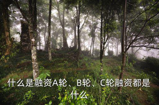 什么是融資A輪、B輪、C輪融資都是什么