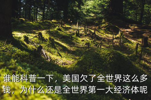 誰(shuí)能科普一下，美國(guó)欠了全世界這么多錢，為什么還是全世界第一大經(jīng)濟(jì)體呢