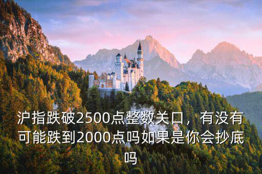 滬指跌破2500點整數(shù)關口，有沒有可能跌到2000點嗎如果是你會抄底嗎