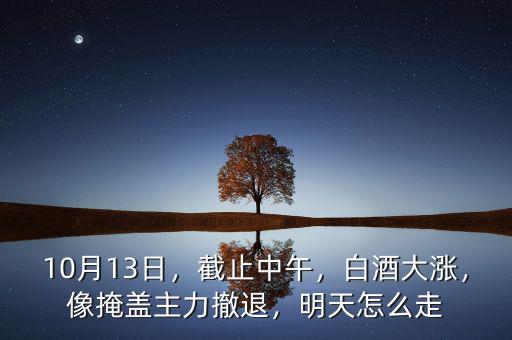 10月13日，截止中午，白酒大漲，像掩蓋主力撤退，明天怎么走