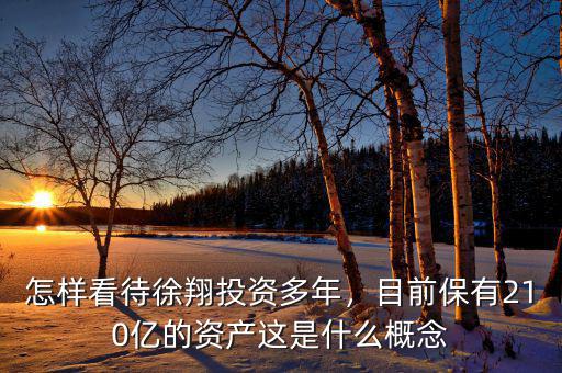 怎樣看待徐翔投資多年，目前保有210億的資產(chǎn)這是什么概念
