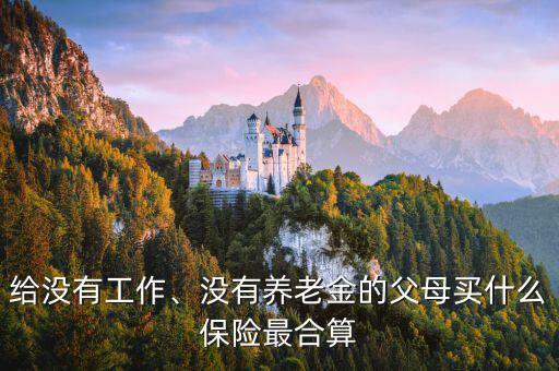 給沒有工作、沒有養(yǎng)老金的父母買什么保險最合算