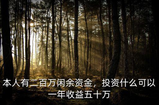 本人有二百萬(wàn)閑余資金，投資什么可以一年收益五十萬(wàn)