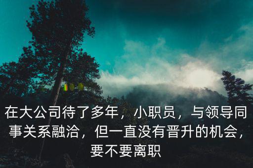 在大公司待了多年，小職員，與領(lǐng)導(dǎo)同事關(guān)系融洽，但一直沒有晉升的機會，要不要離職