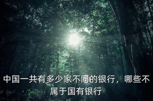 中國(guó)一共有多少家不同的銀行，哪些不屬于國(guó)有銀行