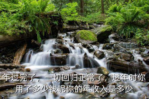 年過完了，一切回歸正常了，過年時你用了多少錢呢你的年收入是多少