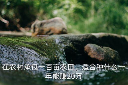 100畝農田一年賺多少錢,適合種什么一年能賺20萬