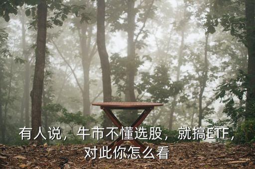 有人說，牛市不懂選股，就搞ETF，對此你怎么看