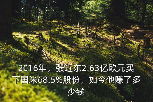 2016年，張近東2.63億歐元買下國米68.5%股份，如今他賺了多少錢