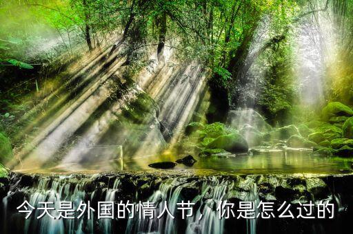 今天是外國(guó)的情人節(jié)，你是怎么過(guò)的