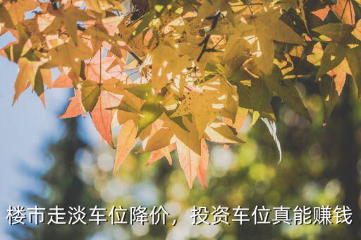 樓市走淡車位降價，投資車位真能賺錢