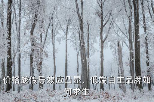 價格戰(zhàn)傳導(dǎo)效應(yīng)凸顯，低端自主品牌如何求生