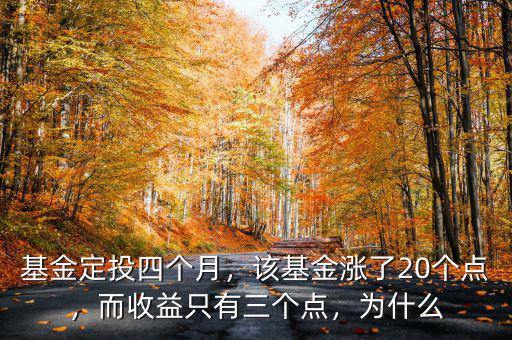 基金定投四個月，該基金漲了20個點，而收益只有三個點，為什么