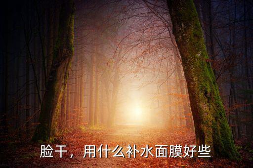 臉干，用什么補水面膜好些