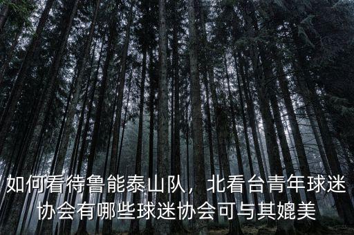 如何看待魯能泰山隊，北看臺青年球迷協(xié)會有哪些球迷協(xié)會可與其媲美