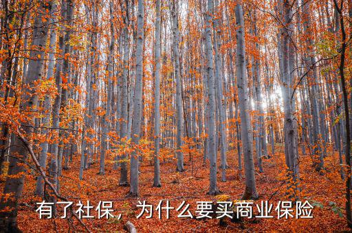 有了社保，為什么要買(mǎi)商業(yè)保險(xiǎn)