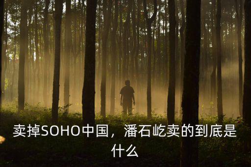 賣(mài)掉SOHO中國(guó)，潘石屹賣(mài)的到底是什么