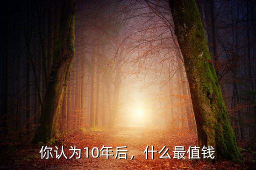 你認為10年后，什么最值錢