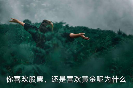 你喜歡股票，還是喜歡黃金呢為什么