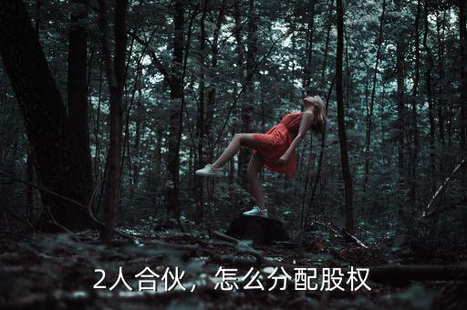 2人合伙，怎么分配股權(quán)