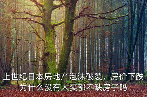 上世紀(jì)日本房地產(chǎn)泡沫破裂，房價下跌為什么沒有人買都不缺房子嗎