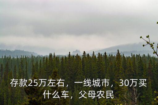 存款25萬(wàn)左右，一線城市，30萬(wàn)買什么車，父母農(nóng)民