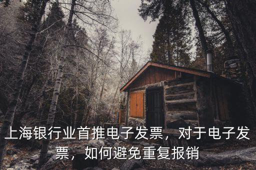 上海銀行業(yè)首推電子發(fā)票，對(duì)于電子發(fā)票，如何避免重復(fù)報(bào)銷
