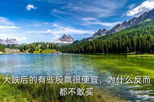 大跌后的有些股票很便宜，為什么反而都不敢買