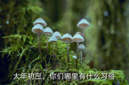 大年初三，你們哪里有什么習俗