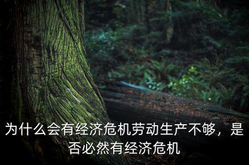為什么會(huì)有經(jīng)濟(jì)危機(jī)勞動(dòng)生產(chǎn)不夠，是否必然有經(jīng)濟(jì)危機(jī)