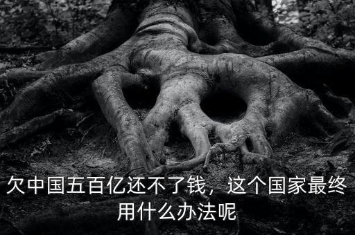 欠中國(guó)五百億還不了錢，這個(gè)國(guó)家最終用什么辦法呢
