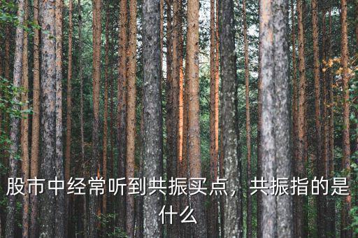 股市中經(jīng)常聽(tīng)到共振買(mǎi)點(diǎn)，共振指的是什么