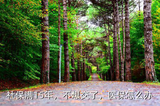 社保滿15年，不想交了，醫(yī)保怎么辦