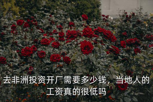 去非洲投資開(kāi)廠需要多少錢(qián)，當(dāng)?shù)厝说墓べY真的很低嗎