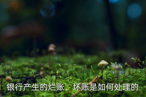 銀行產(chǎn)生的爛賬、壞賬是如何處理的