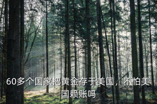 60多個國家把黃金存于美國，不怕美國賴賬嗎