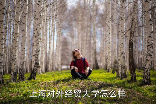 上海自貿(mào)發(fā)展的怎么樣了,上海對外經(jīng)貿(mào)大學怎么樣