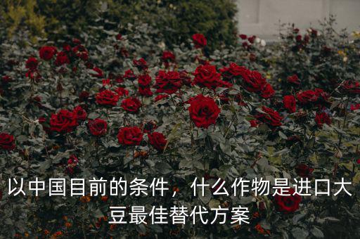 中國為什么允許進口轉基因,以中國目前的條件