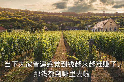 當(dāng)下大家普遍感覺到錢越來越難賺了，那錢都到哪里去啦