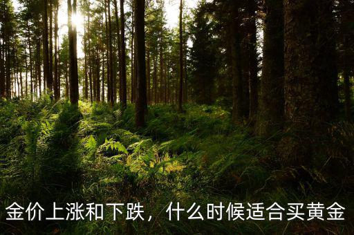 金價(jià)上漲和下跌，什么時(shí)候適合買黃金