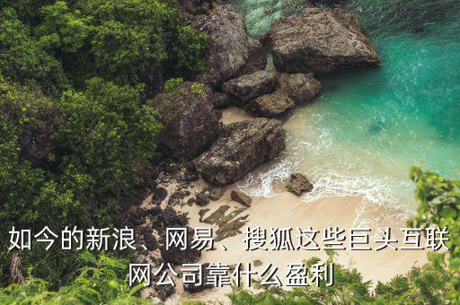 如今的新浪、網(wǎng)易、搜狐這些巨頭互聯(lián)網(wǎng)公司靠什么盈利