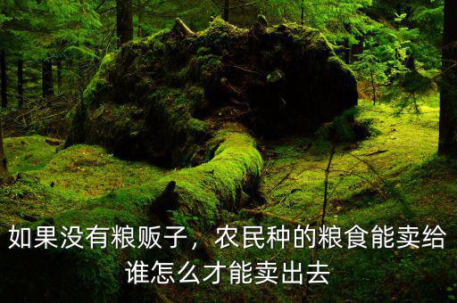 如果沒有糧販子，農民種的糧食能賣給誰怎么才能賣出去