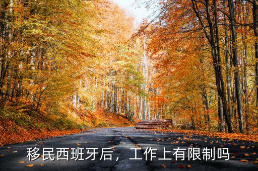 移民西班牙后，工作上有限制嗎