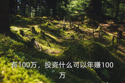 有100萬，投資什么可以年賺100萬